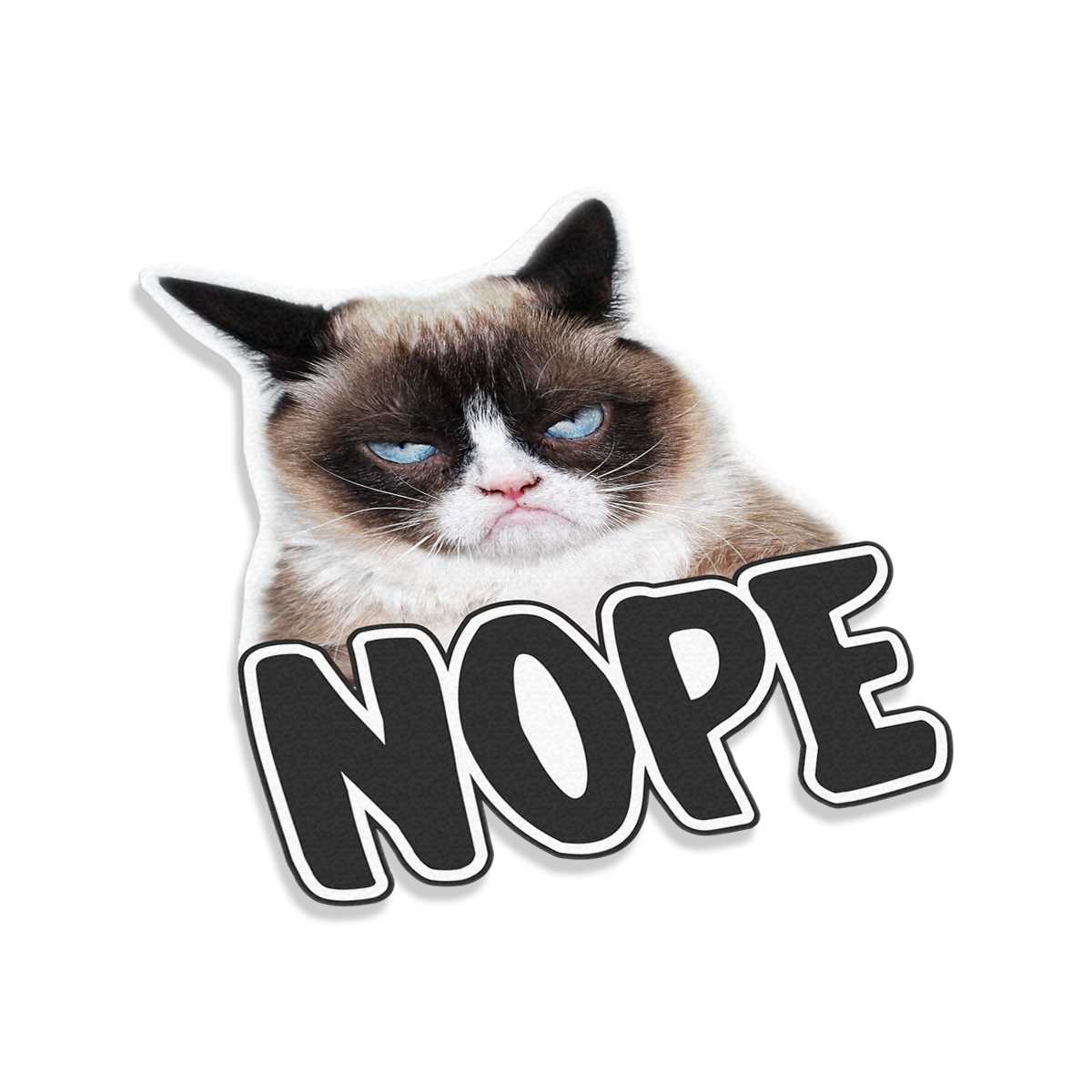 grumpy cat vector nope