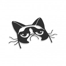 Grumpy Cat V2