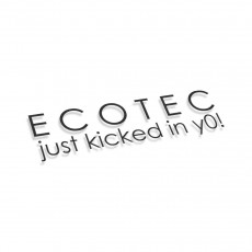 Ecotec Just Kicked In You