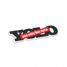YOLO You Only Live Once V4