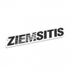 Ziemsitis V3