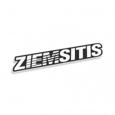 Ziemsitis V2