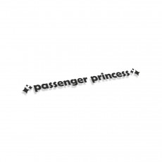 Passenger Princess #2