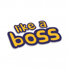Like A Boss V2