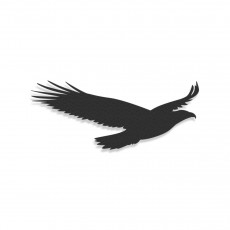 Bird Eagle
