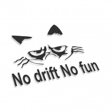 No Drift No Fun
