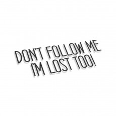 Don't Follow Me I'm Lost Too