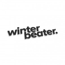 Winter Beater V8