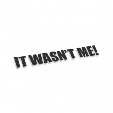 It Wasnt Me