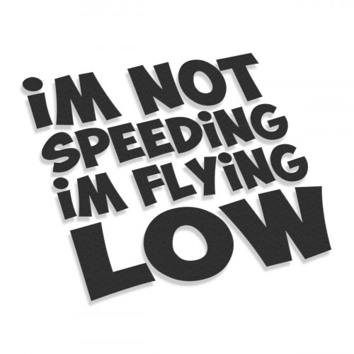 I'm Not Speeding I'm Flying Low