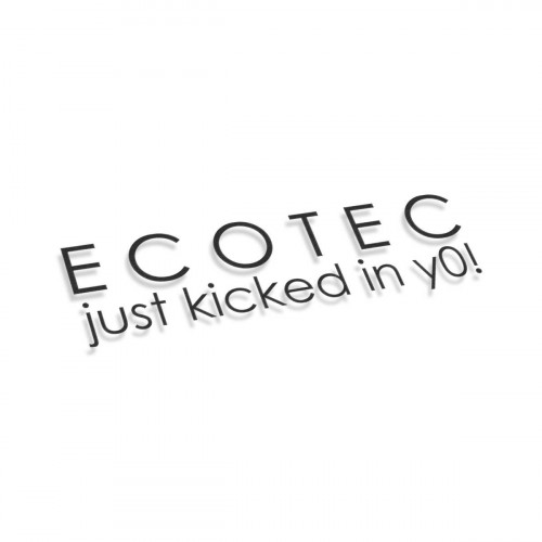 Ecotec Just Kicked In You