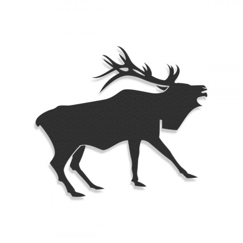 Elk