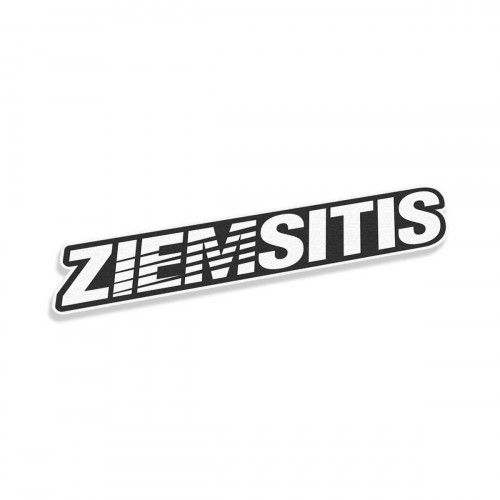 Ziemsitis V2