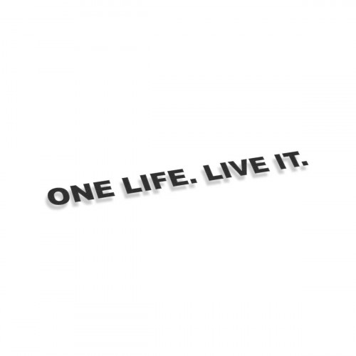 One Life Live It