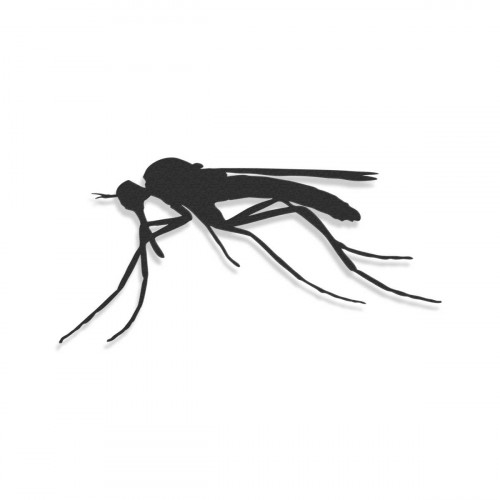 Mosquito