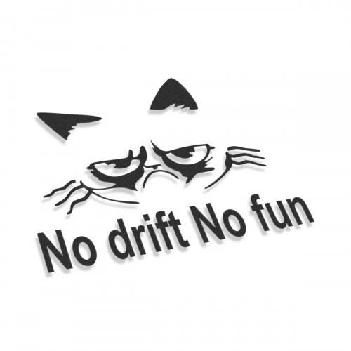 No Drift No Fun