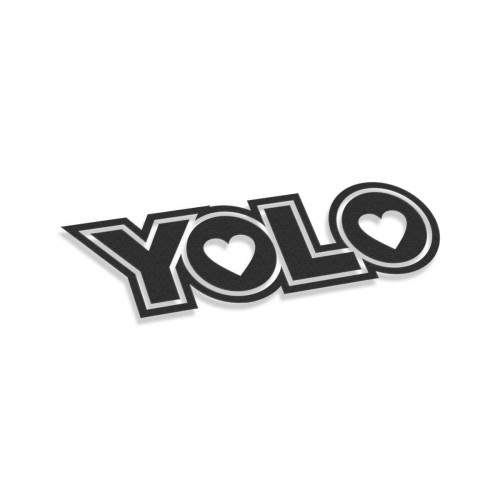 YOLO You Only Live Once