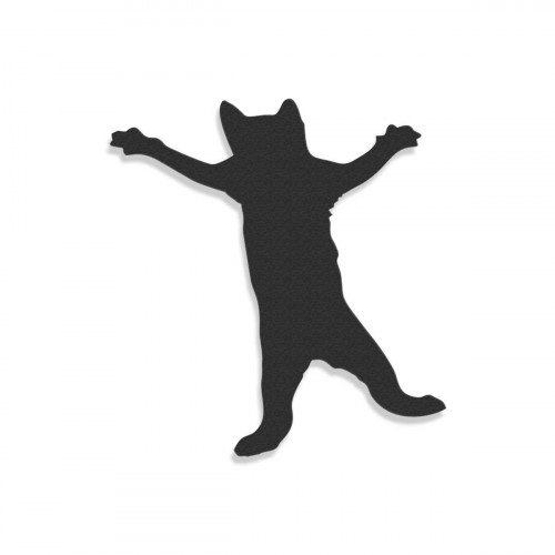 Dancing Cat