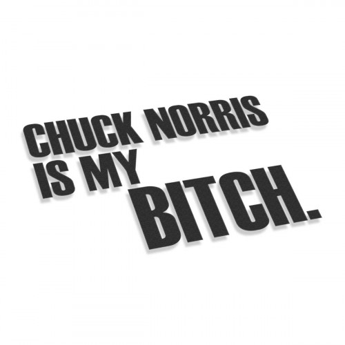 Chuck Norris Is My Bitch