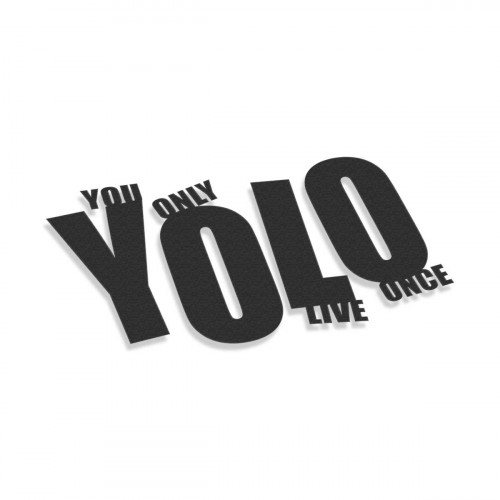 YOLO You Only Live Once #6